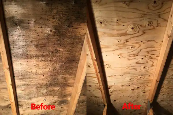 water damage restoration service Jersey City